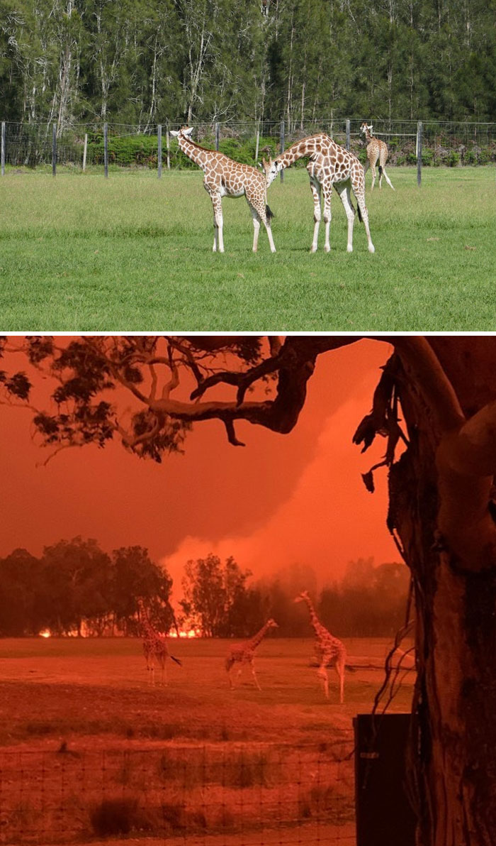 australia bushfires before after photos 22 5e159968b2b49 700