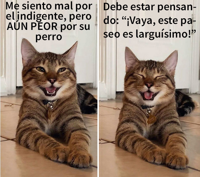 gatobroma 04 5e304d9ec0d18 700