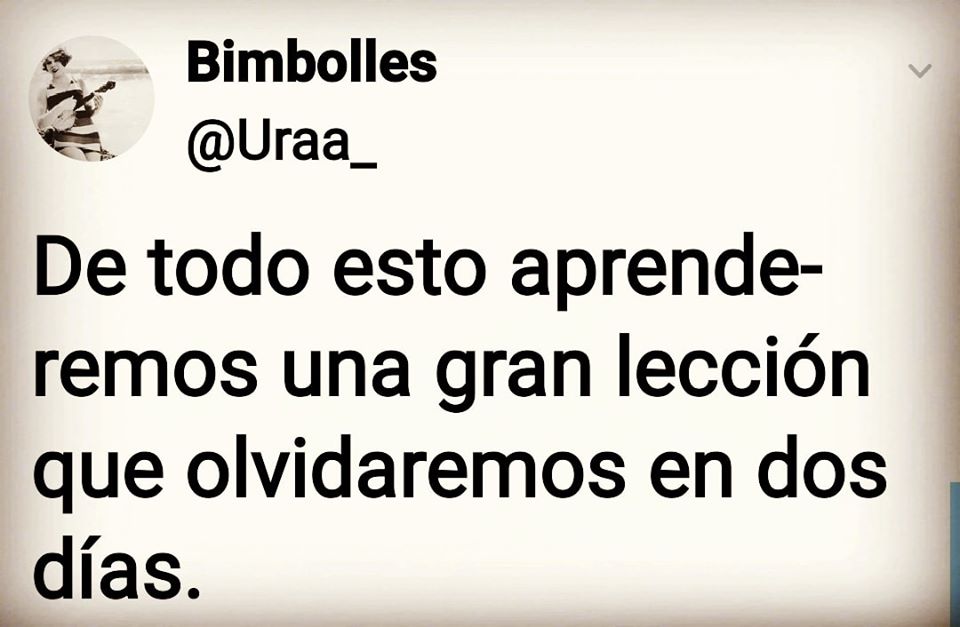 91646014 1462950523882393 3242618579547324416 o 1