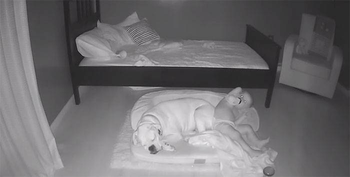 camera captures little boy sneaking out sleep with his dog 5f11a211ac5d1 700