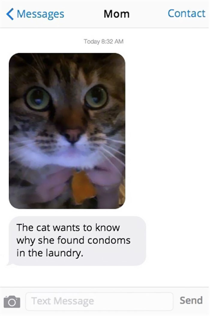 "El gato quiera saber por qué ha encontrado condones en la lavadora"